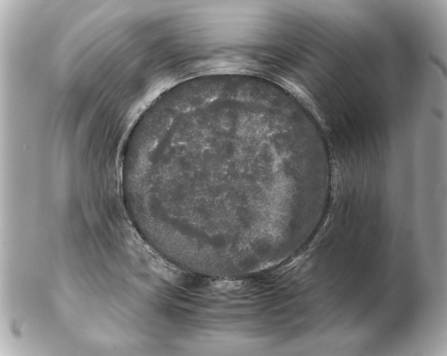 X0000102471419200808291554