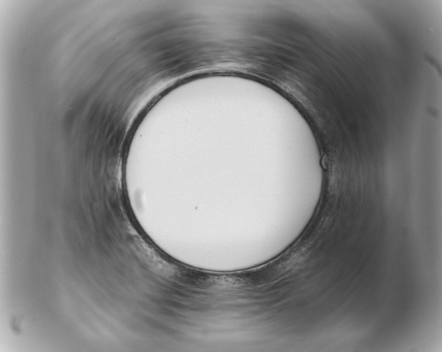 X0000102471420200808291554