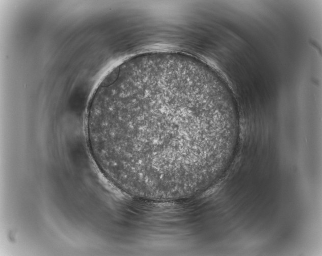 X0000102471421200808291554