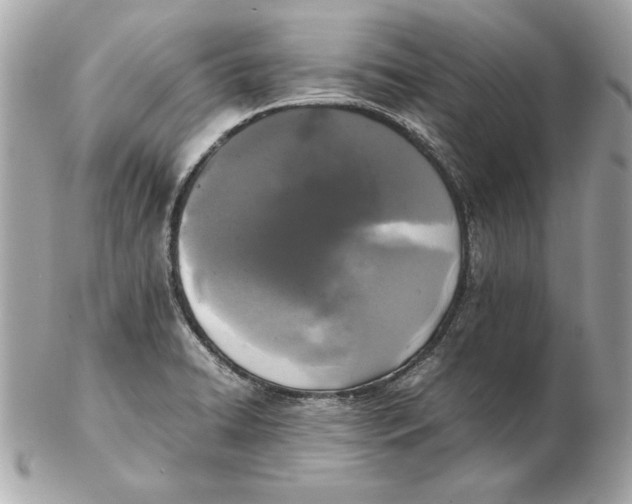 X0000102471422200808291554