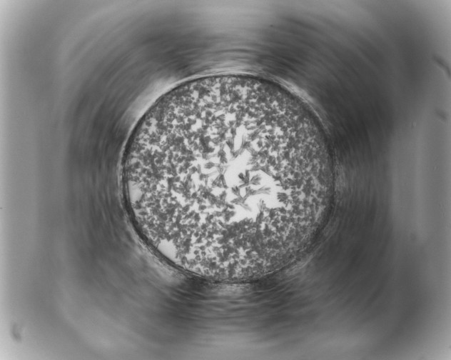 X0000102471423200808291554