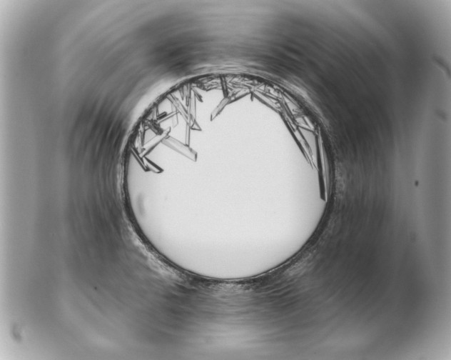 X0000102471424200808291554