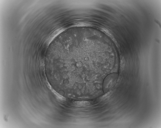 X0000102471425200808291554