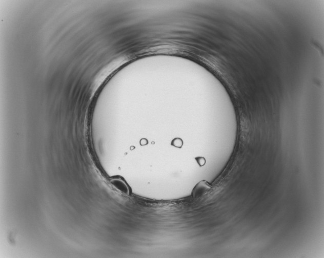 X0000102471426200808291554