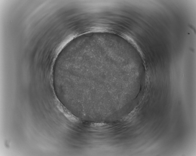 X0000102471427200808291554