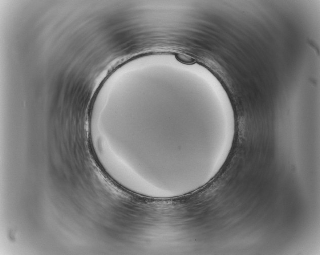 X0000102471428200808291554