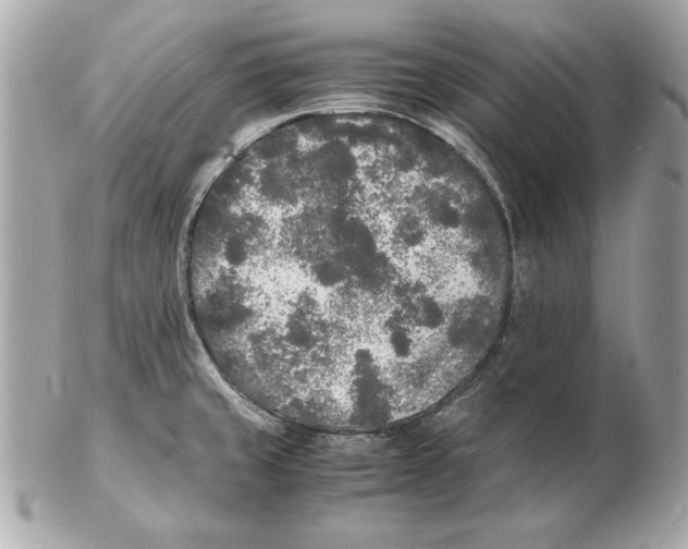X0000102471429200808291554