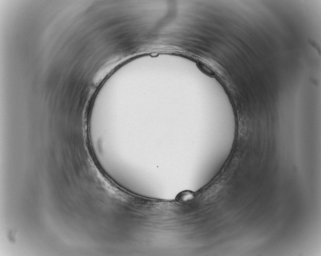 X0000102471430200808291554