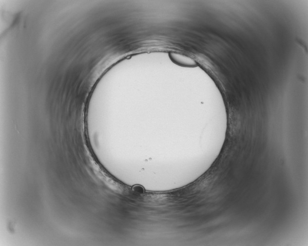 X0000102471431200808291554
