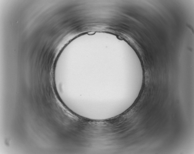 X0000102471432200808291554
