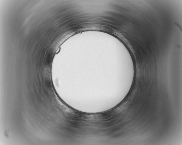 X0000102471433200808291554