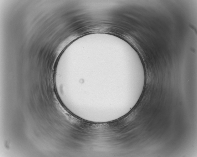 X0000102471434200808291554