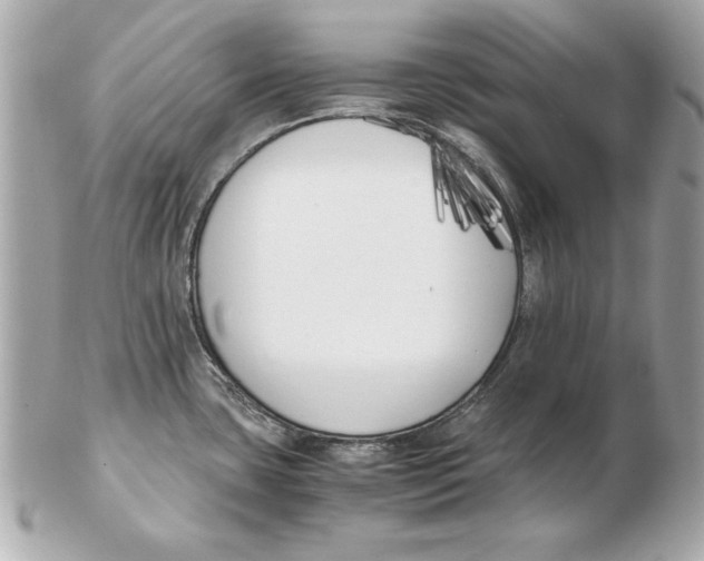 X0000102471435200808291554
