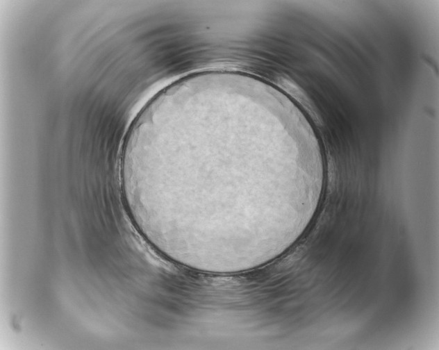 X0000102471436200808291554