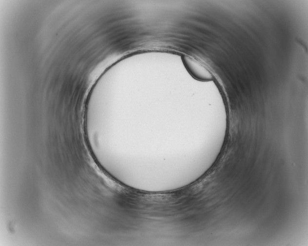 X0000102471437200808291554