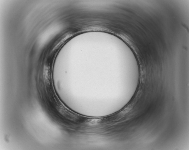 X0000102471438200808291554