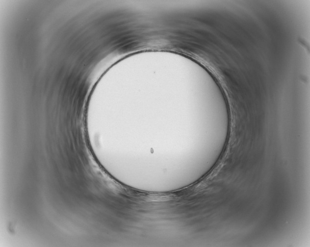 X0000102471440200808291554