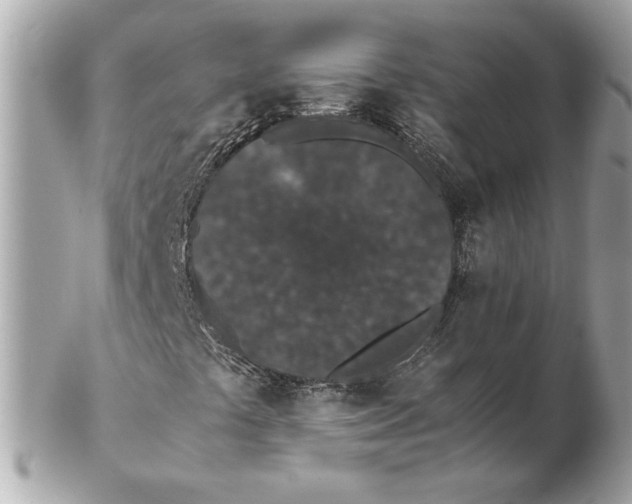 X0000102471441200808291553