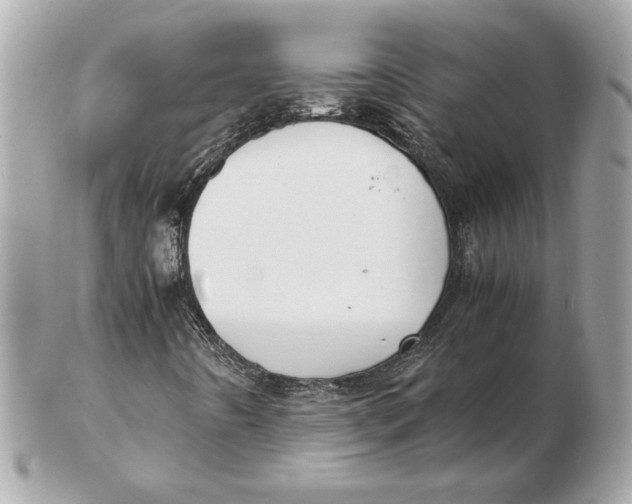 X0000102471442200808291553