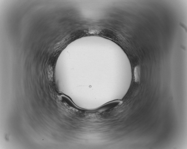 X0000102471443200808291553