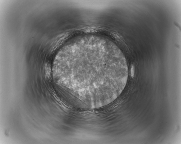 X0000102471444200808291553