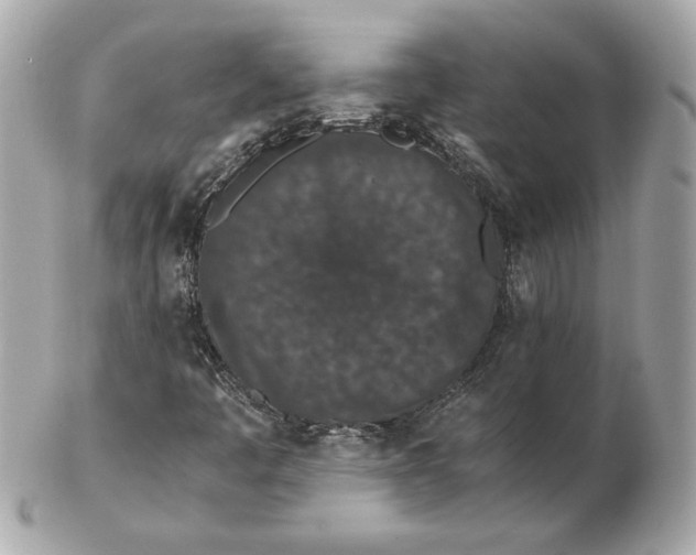 X0000102471445200808291553