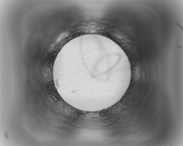 X0000102471446200808291553