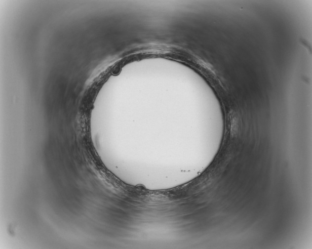 X0000102471448200808291553