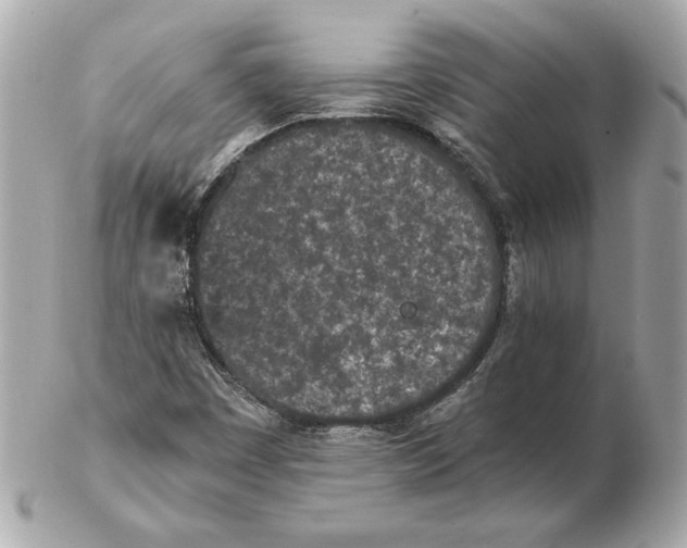 X0000102471449200808291553
