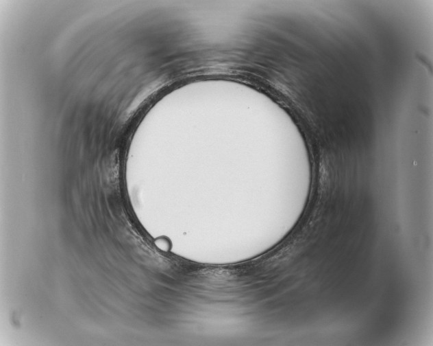 X0000102471450200808291553