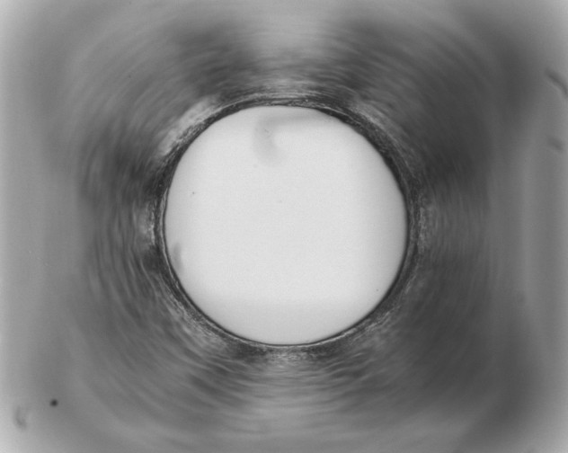 X0000102471451200808291553