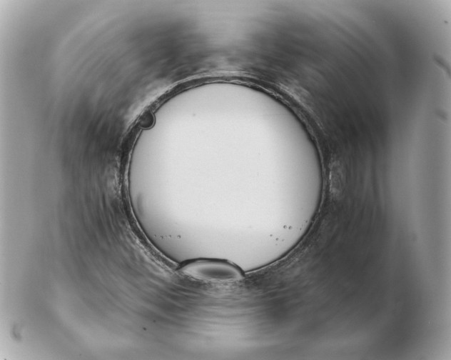 X0000102471452200808291553