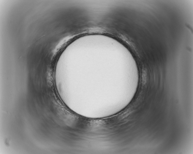 X0000102471454200808291553