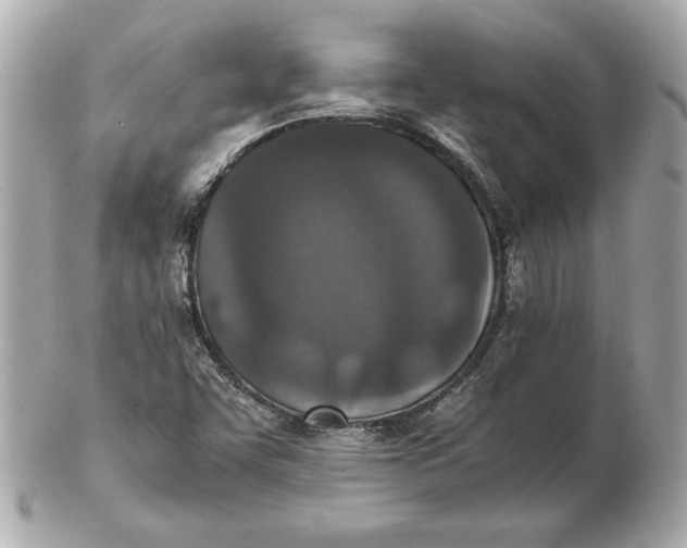 X0000102471455200808291553