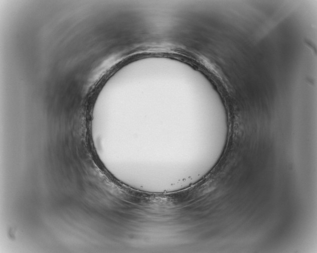 X0000102471456200808291553