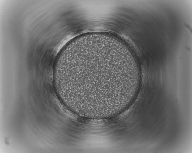 X0000102471457200808291553