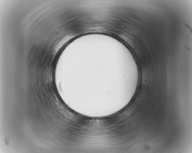 X0000102471458200808291553