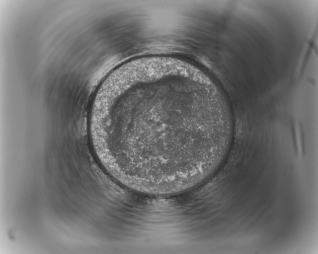 X0000102471459200808291553