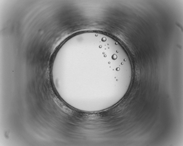 X0000102471460200808291553