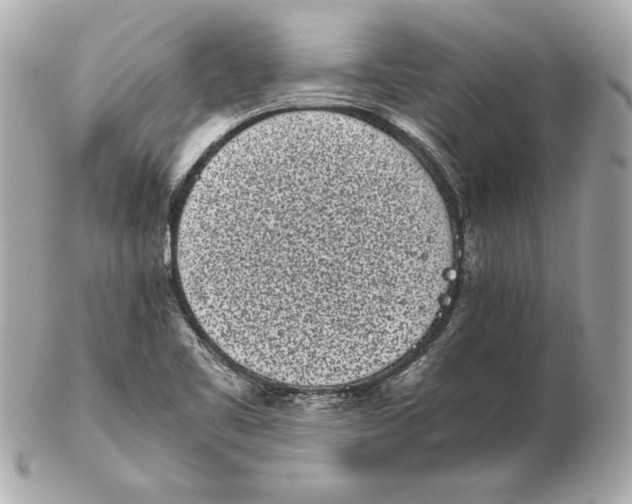 X0000102471461200808291553