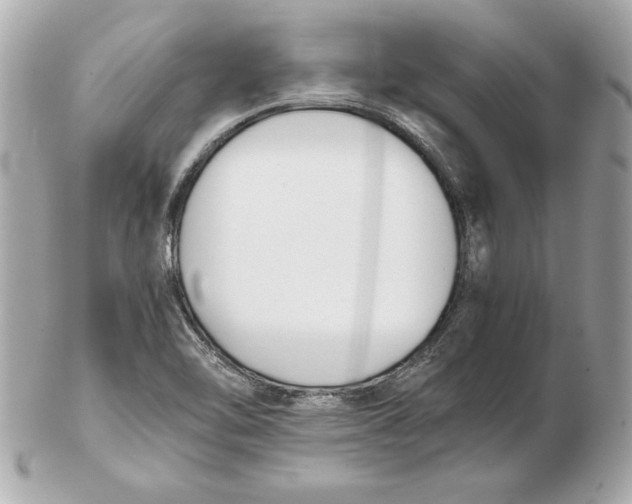 X0000102471462200808291553