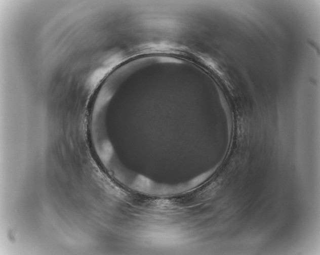 X0000102471463200808291553