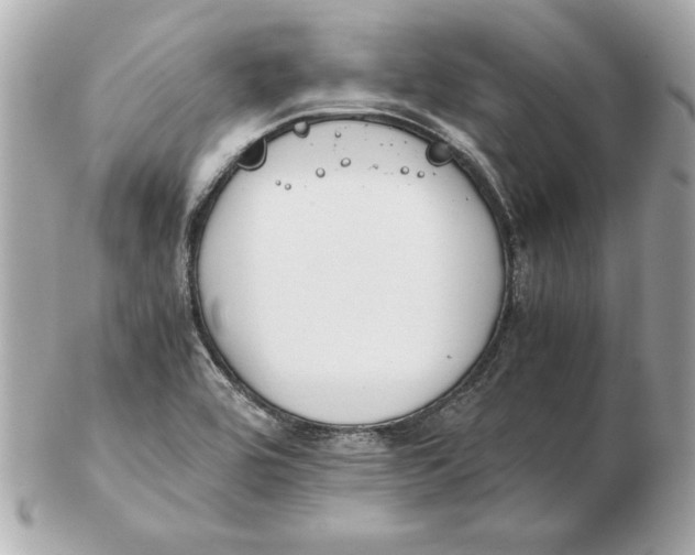 X0000102471464200808291553