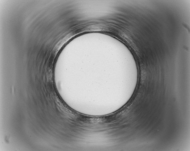 X0000102471465200808291553