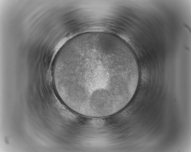 X0000102471466200808291553