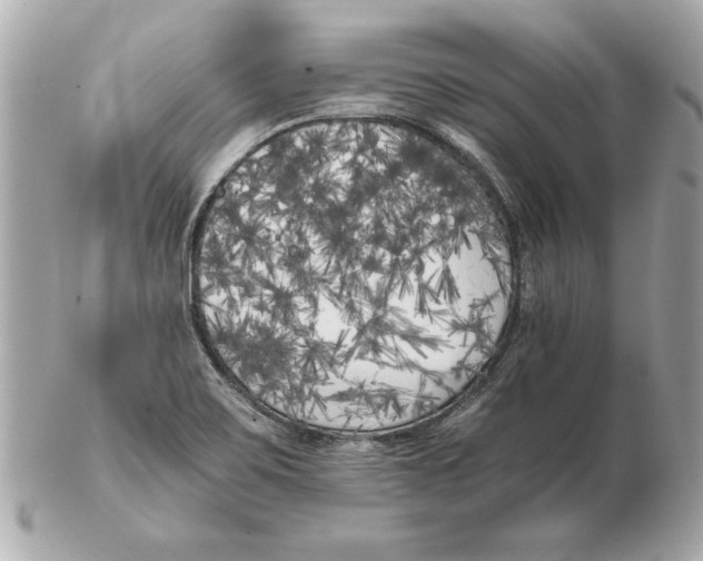 X0000102471467200808291553