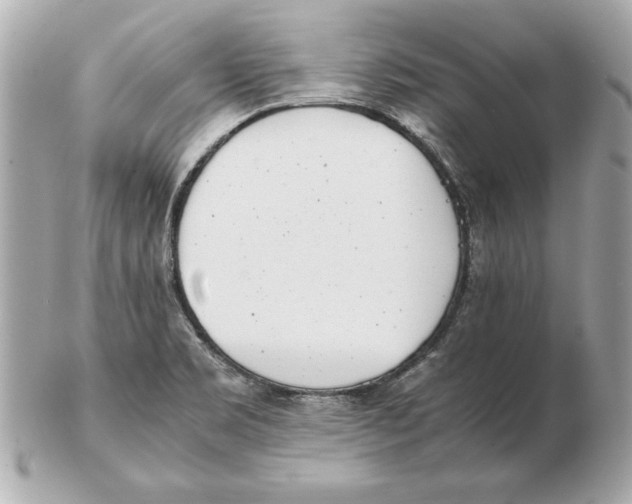 X0000102471469200808291553