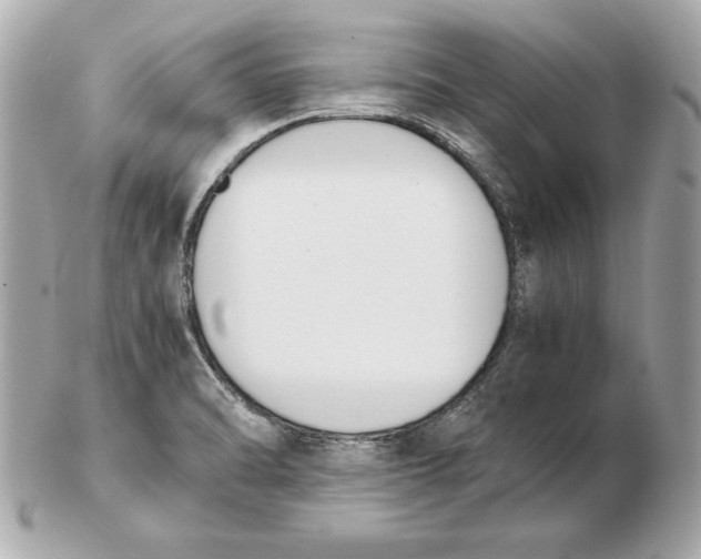 X0000102471470200808291553