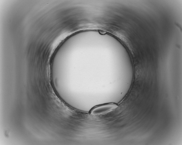 X0000102471472200808291553