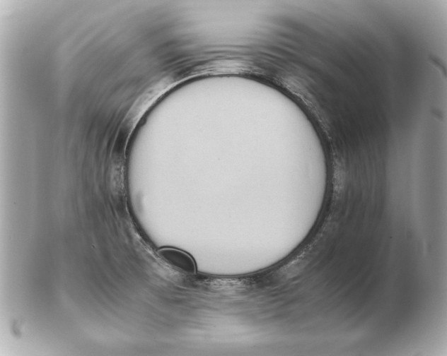 X0000102471473200808291553